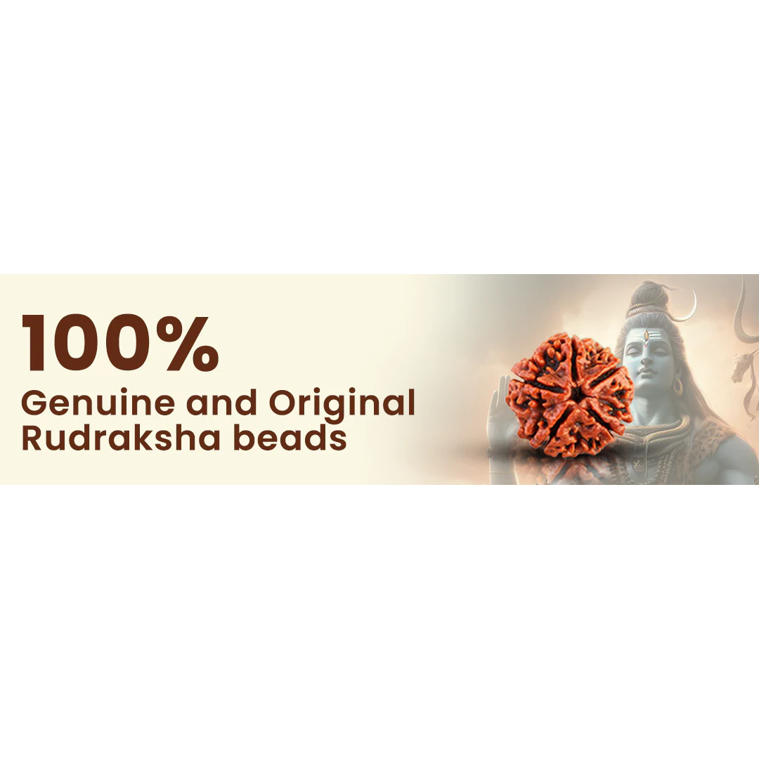 Gold Plated Premium Rudraksha Chain Bracelet