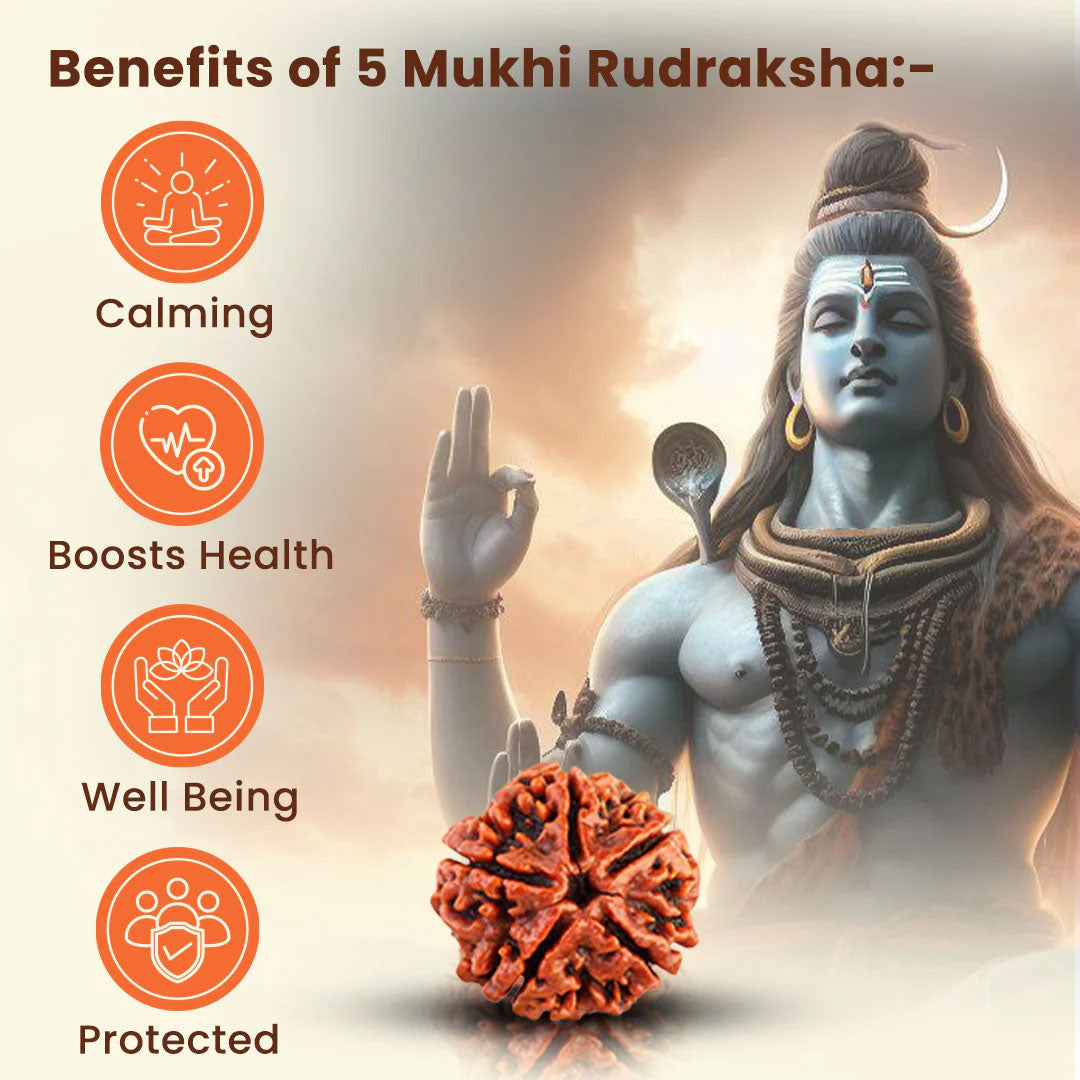 Gold Plated Premium Rudraksha Chain Bracelet